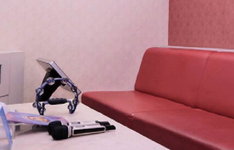 DIVA Karaoke Family Express