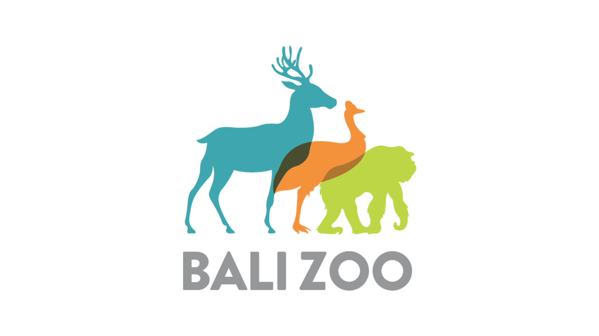 Bali Zoo